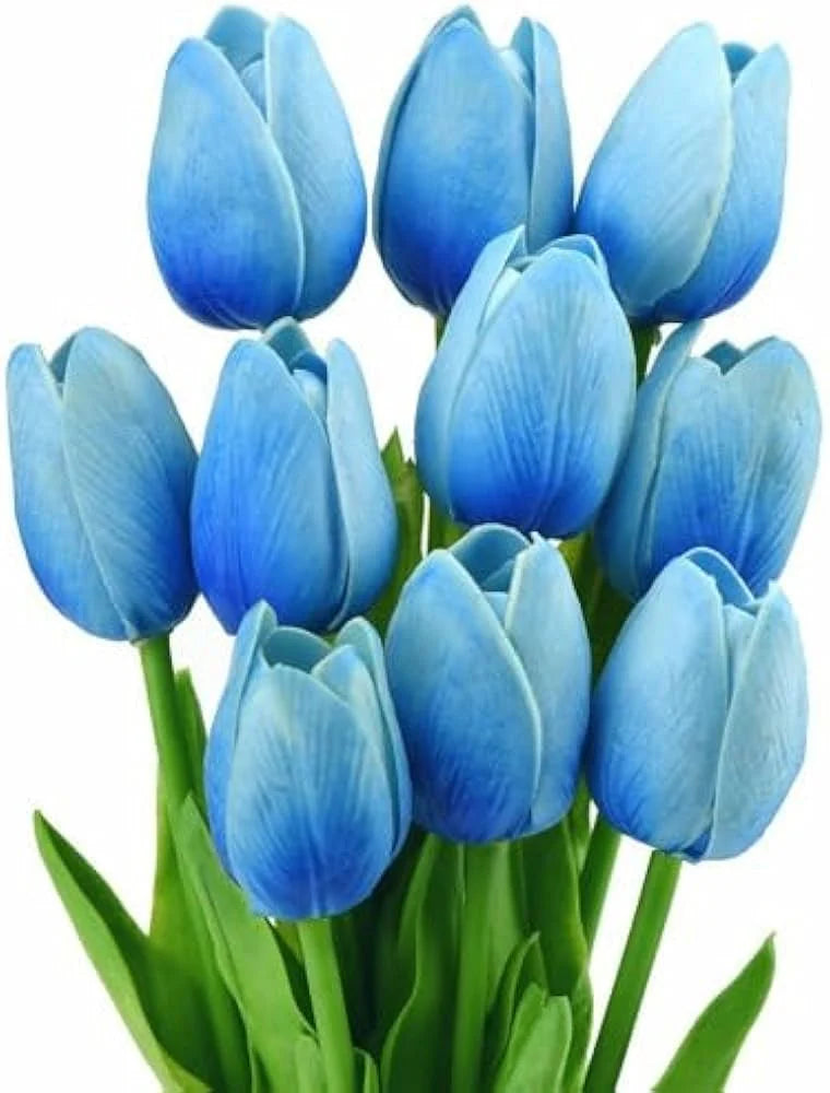 Sky Blue Tulip Flower Seeds Flower seeds for Planting Vibrant Colors Heirloom & GMO Free Seeds for Home Garden