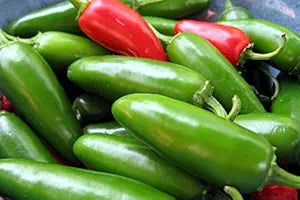 Jalapeno M Pepper seeds for fresh, spicy peppers