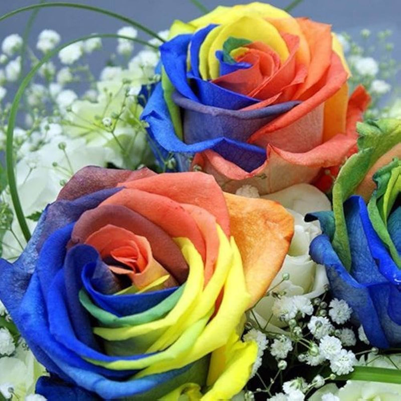 Rainbow Mixed Flower seeds for Planting - Long Bloom Season, Heirloom & GMO Free Seeds for Home Garden
Sale for planting in home garden.