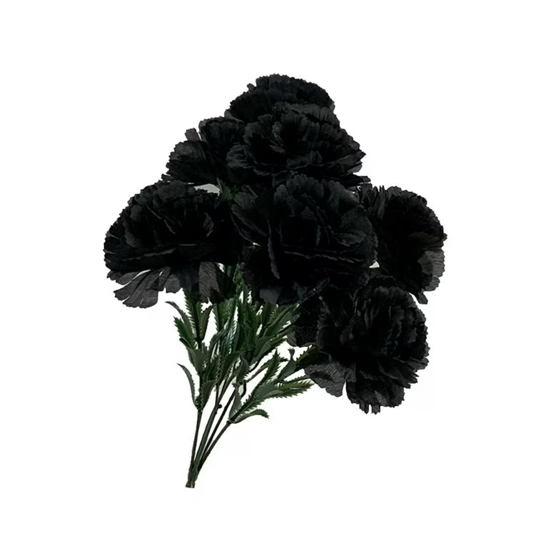 Carnation Black Flower seeds for Planting - Perfect for Borders, Heirloom & GMO Free Seeds for Home Garden