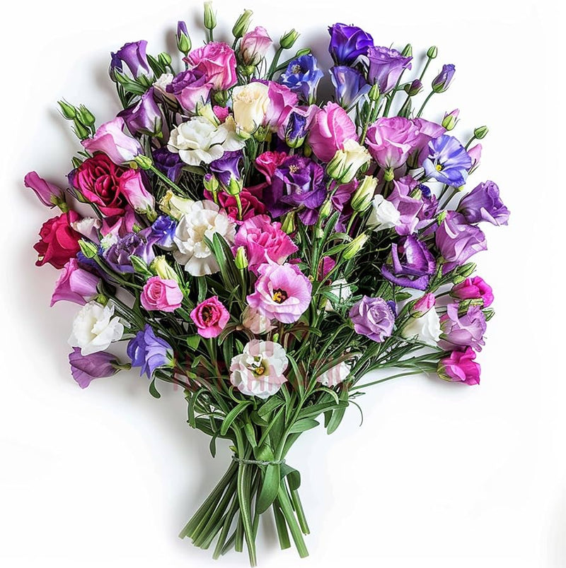 Mixed Lisianthus Sapphire Flower seeds for Planting - Seasonal Bloomer, Heirloom & GMO Free Seeds for Home Garden
Sale seeds for planting in home garden