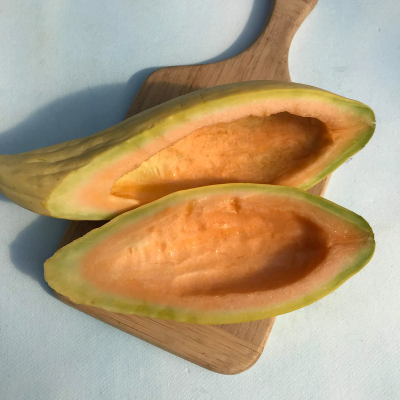 Gold Banana Melon Seeds for Planting Premium Fruit Seeds