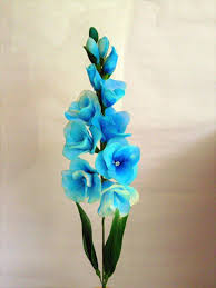 Sky Blue Gladiolus Flower Seeds for Planting Fragrant Blossoms Heirloom & GMO Free Seeds for Home Garden
Sale for planting in home garden