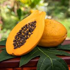 Orange Papaya Seeds for Planting Grow Your Own Fruit