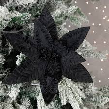 Black Poinsettia for Planting Hardy Variety Heirloom & GMO Free Seeds for Home Garden
Sale