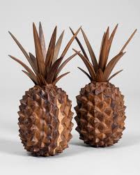 Brown Pineapple Seeds for Planting Grow Your Own Fruit