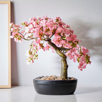 Pink White Simsii Bonsai Seeds Flower seeds for Planting Cut Flower Favorite Heirloom & GMO Free Seeds for Home Garden