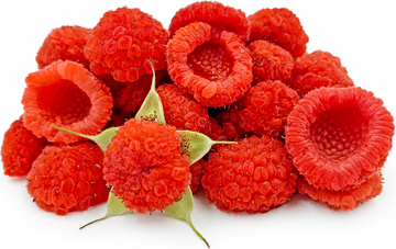 Thimbleberry Fruit Planting Seeds - Grow Delicious Thimbleberries in Your Garden!