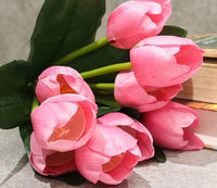 Pale Pink Tulip Flower seeds for Planting - Pollinator Friendly, Heirloom & GMO Free Seeds for Home Garden