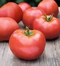 Flavorful Atkinson Tomato Planting Seeds - Vegetable Gardening Seeds