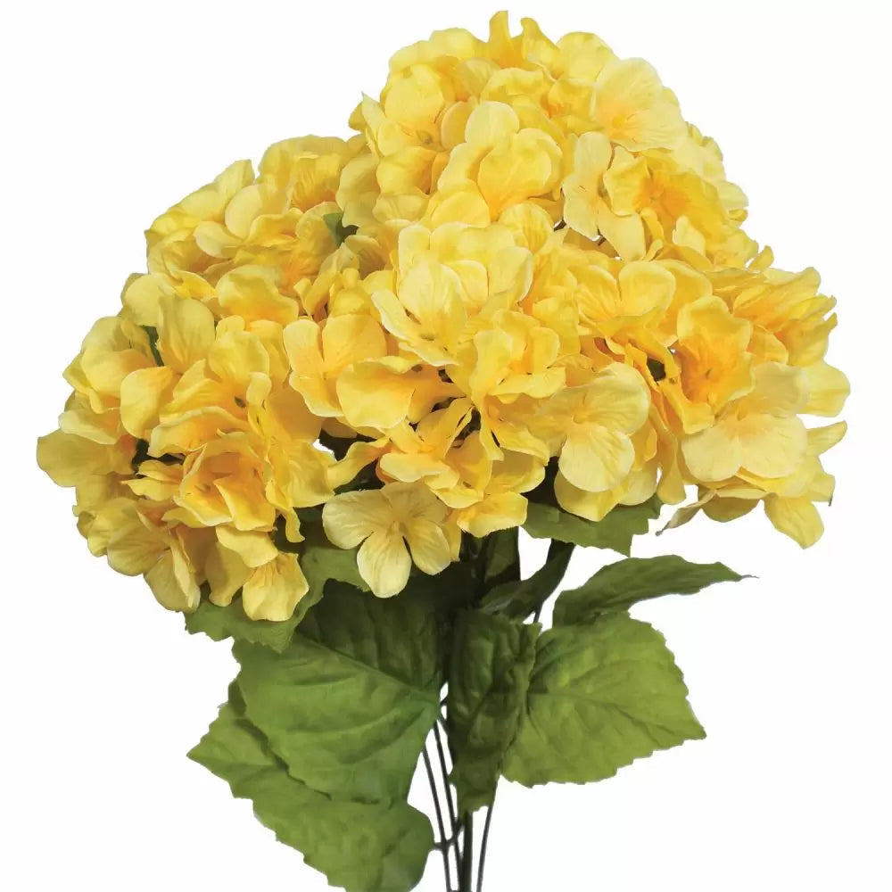 Yellow Hydrangea Flower seeds for Planting Perfect for Borders Heirloom & GMO Free Seeds for Home Garden 
 
 Sale seeds for home garden planting