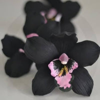 Black Duck Orchid Seeds DIY Native Black Coral Pea Seeds