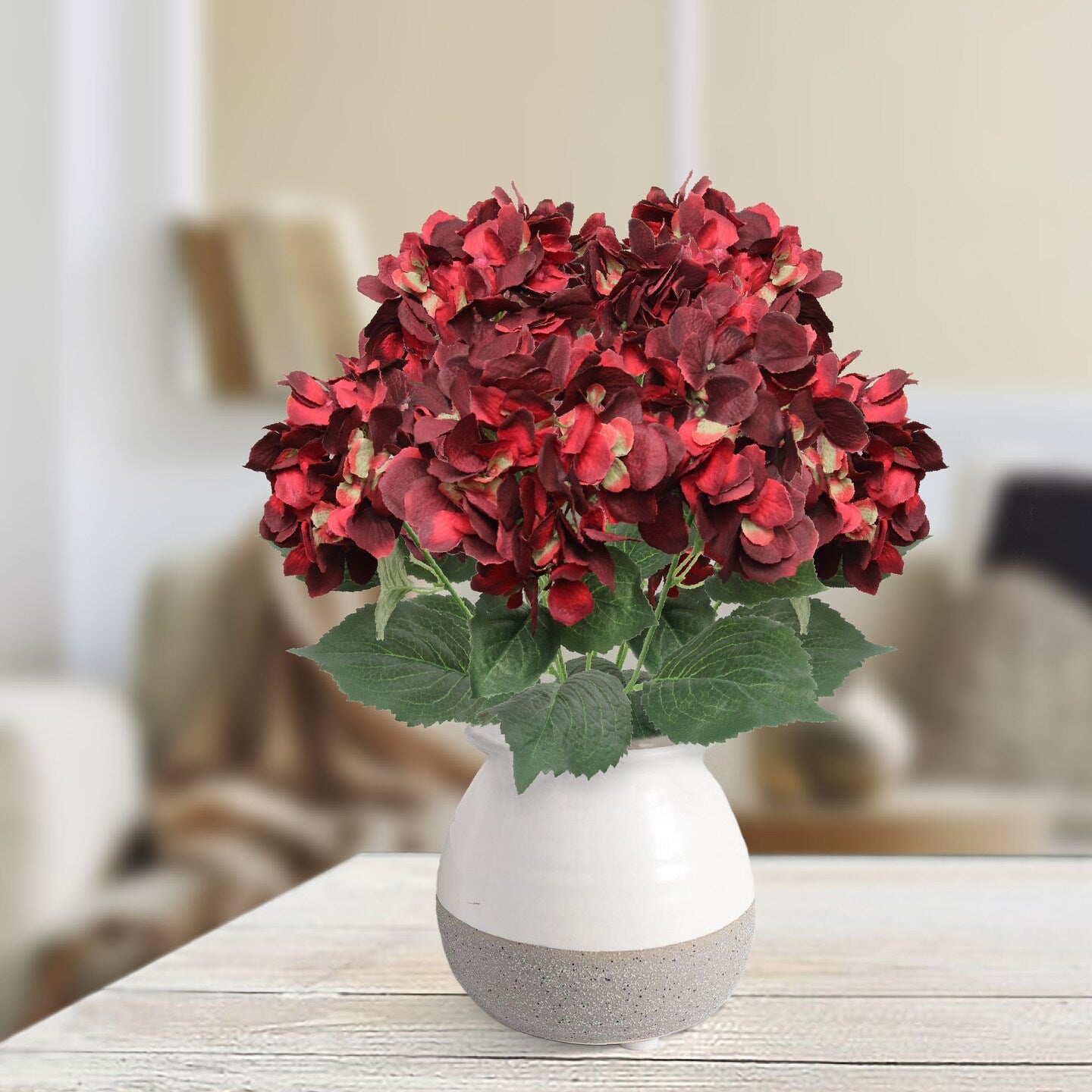 Burgundy Hydrangea Flower seeds for Planting Fragrant Blossoms Heirloom & GMO Free Seeds for Home Garden 
 
 Sale