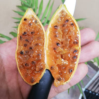 Orange Banana Passion Fruit Seeds for Planting  Tropical Garden Delight