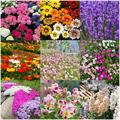 100 Pcs