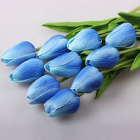 Blue Tulip Flower Seeds for Planting – Heirloom NonGMO Organic Garden Seeds with High Germination
 
 Sale
