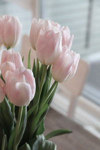 Pale Pink Tulip Flower Seeds for Planting Garden Favorite Heirloom & GMO Free Seeds for Home Garden
 
 Sale