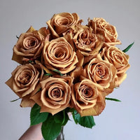 Brown Rose Flower Seeds Flower seeds for Planting Compact Growth Heirloom & GMO Free Seeds for Home Garden