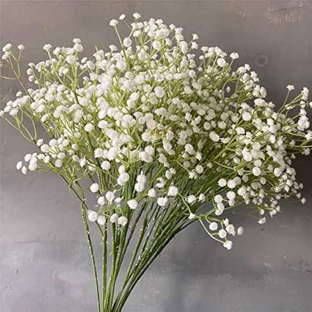 Gypsophila Flower seeds for Planting Low Maintenance Heirloom & GMO Free Seeds for Home Garden