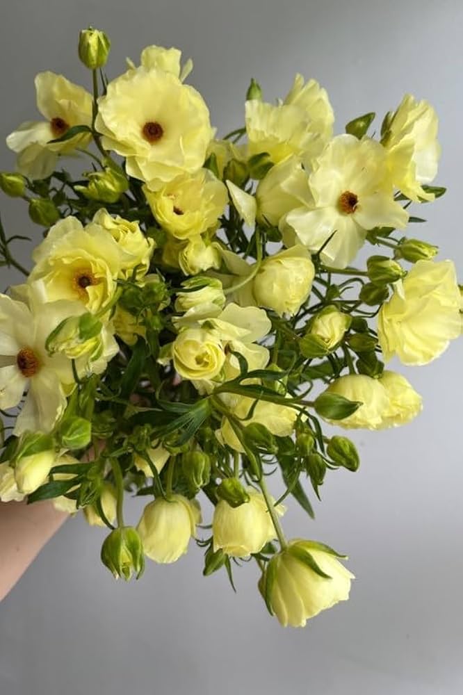 Yellow Lisianthus Flower seeds for Planting - Cottage Garden Essential, Heirloom & GMO Free Seeds for Home Garden