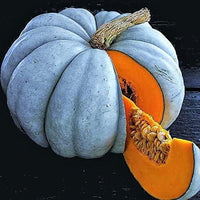Jarrahdale Pumpkin Seeds For Easy Planting Vegetable Seeds