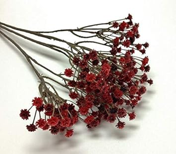 100 Pcs