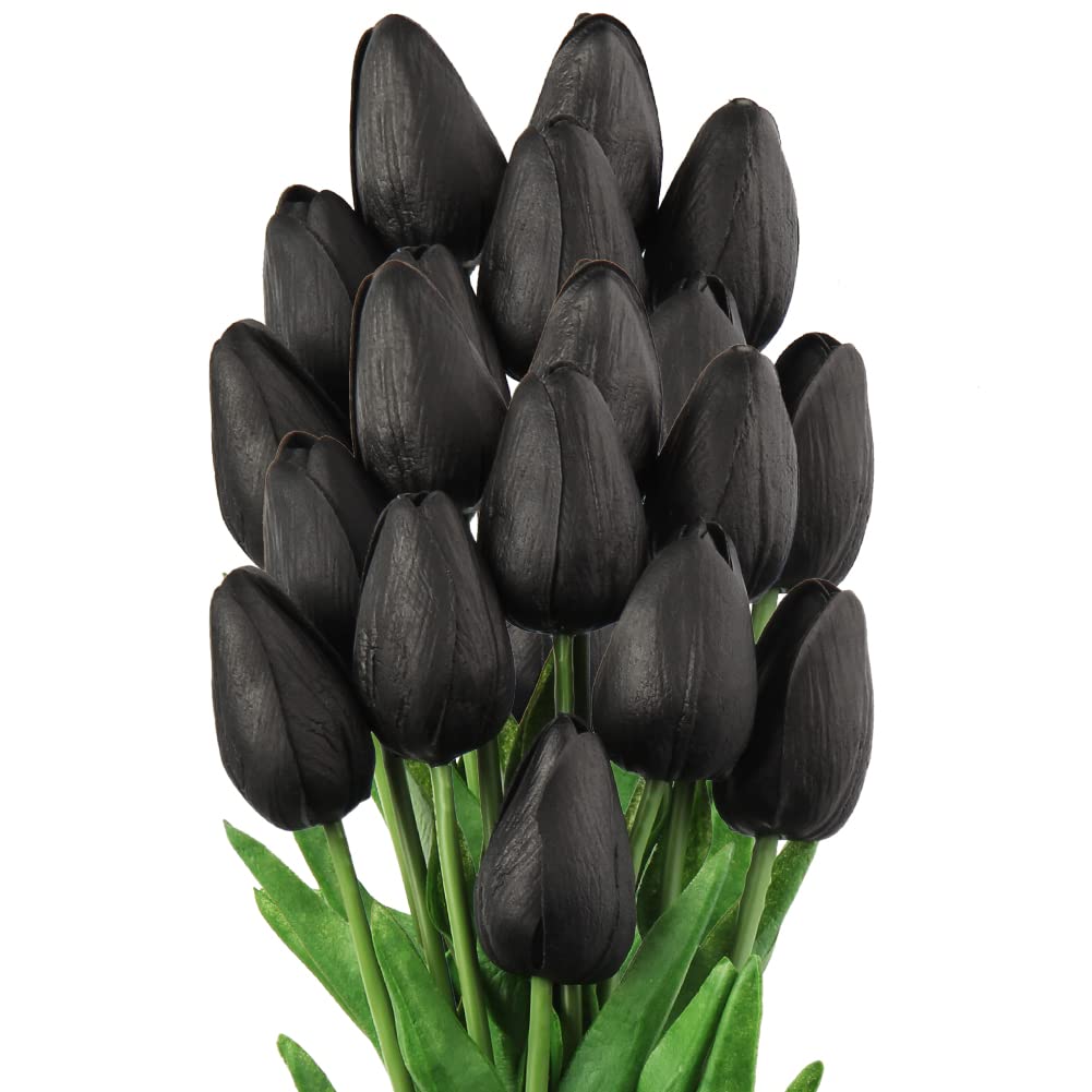 Black Tulip Flower seeds for Planting Premium Quality Heirloom & GMO Free Seeds for Home Garden