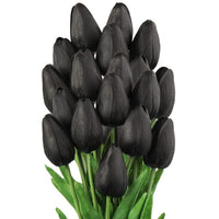 Black Tulip Flower seeds for Planting Premium Quality Heirloom & GMO Free Seeds for Home Garden
