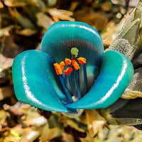 Sea Blue Puya Alpestris Planting Seeds for Exotic Garden Displays - Seeds for Unique and Striking Floral Arrangements