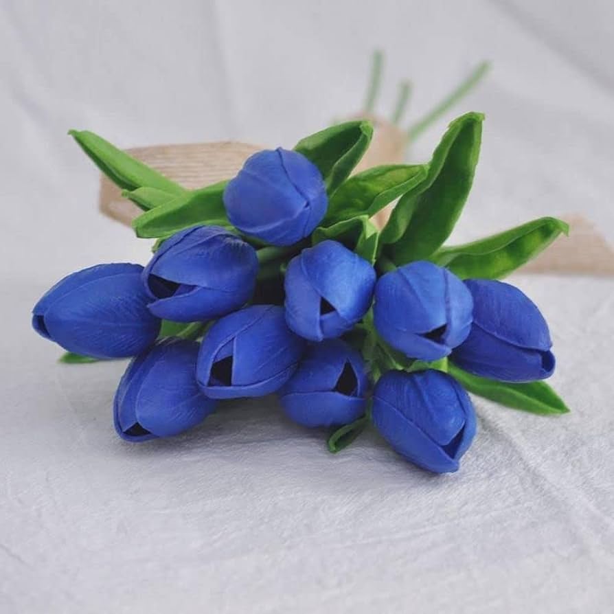 Blue Tulip Flower Seeds for Planting – Heirloom NonGMO Organic Garden Seeds with High Germination
 
 Sale