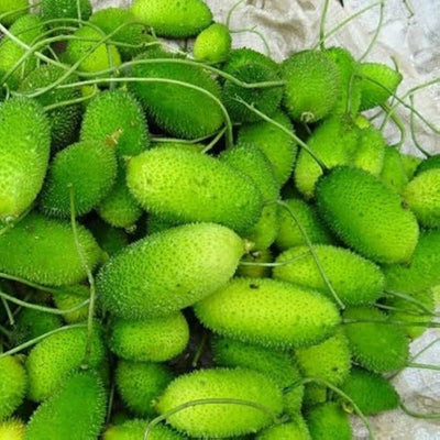100 Pcs
