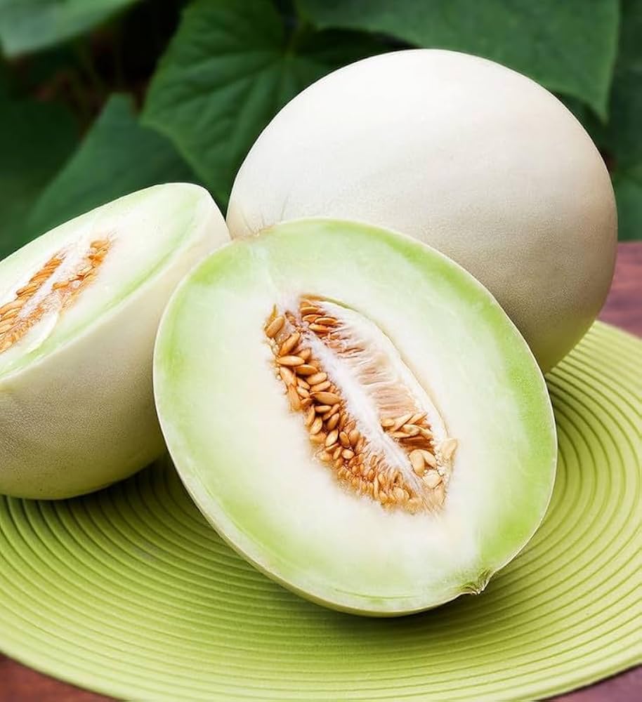 White Muskmelon Fruit Growing Essentials - Seed for Juicy and Refreshing Harvests