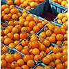 Papadennis Sweet Tomato Planting Seeds For Rich Flavor Vegetable Seeds