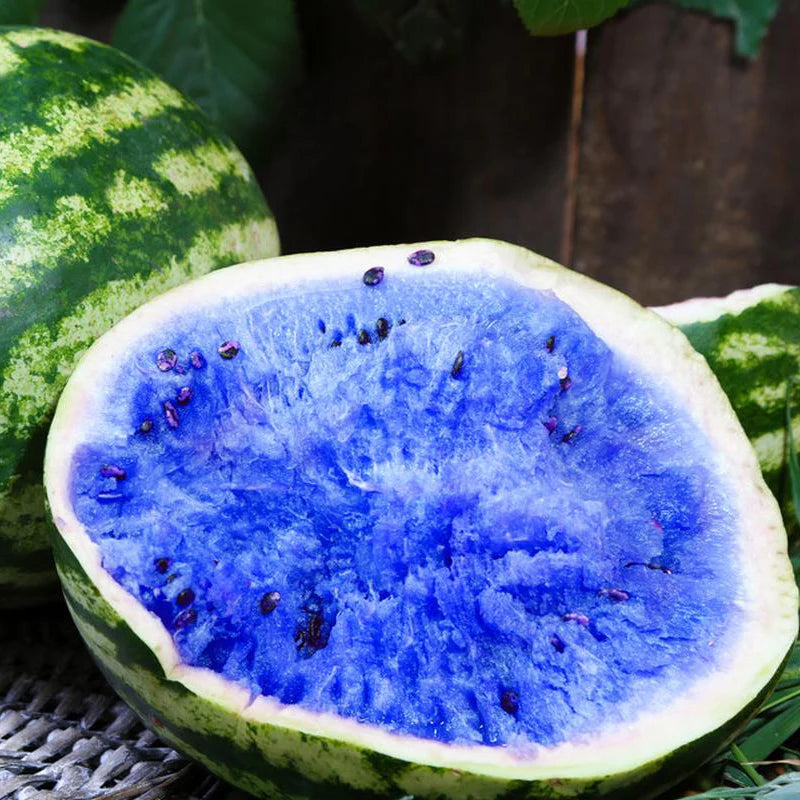 Blue Watermelon Seeds for Planting | Unique Watermelon Variety for Your Garden