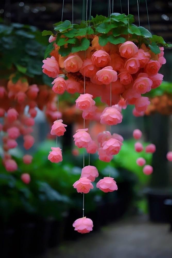 Weeping Pink Flower Seeds for Planting - Enhance Your Garden