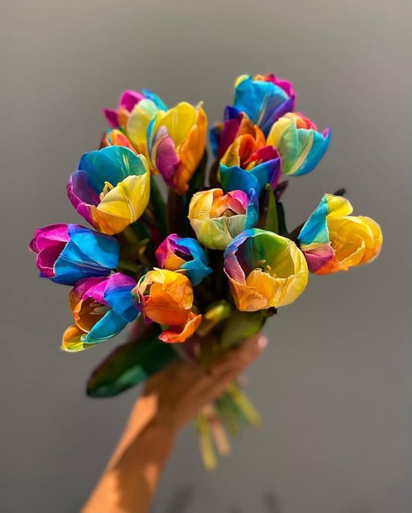 Rainbow Tulip Seeds – Mixed Garden Colors for Spring Flowering (Not Bulbs)