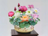 Mini Rainbow Bonsai Flower Seeds for Vibrant, Small Bonsai Flowers