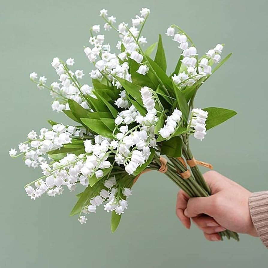 Maiglöckchen Flowers Indoor Rare Bell-Orchidee Seeds