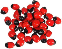 Red Iris Seeds – Bold, Vibrant Red Flowers for Stunning Garden Displays
