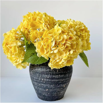 Yellow Hydrangea Flower seeds for Planting Perfect for Borders Heirloom & GMO Free Seeds for Home Garden 
 
 Sale