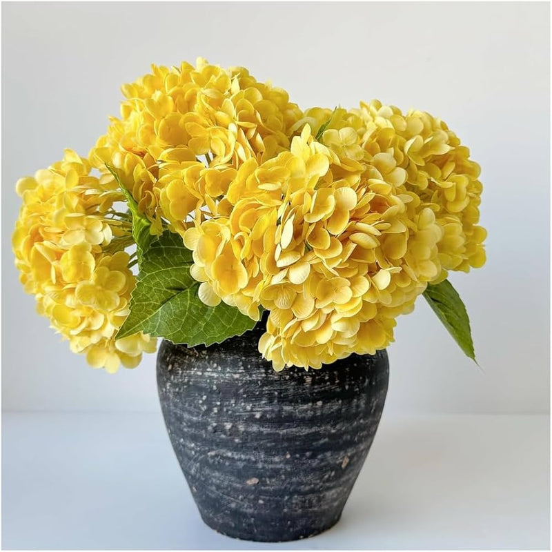 Yellow Hydrangea Flower seeds for Planting Perfect for Borders Heirloom & GMO Free Seeds for Home Garden 
 
 Sale