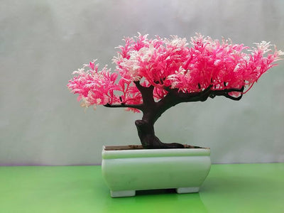 100 Pcs