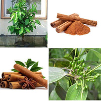 Cinnamon Seed Planting Pack