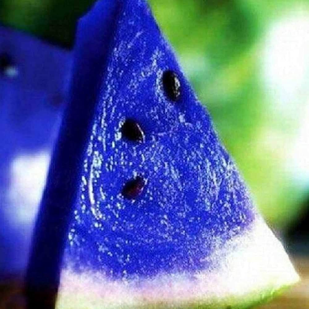 Blue Watermelon Seeds for Planting | Unique Watermelon Variety for Your Garden