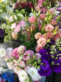 Mixed Lisianthus Sapphire Flower seeds for Planting - Seasonal Bloomer, Heirloom & GMO Free Seeds for Home Garden