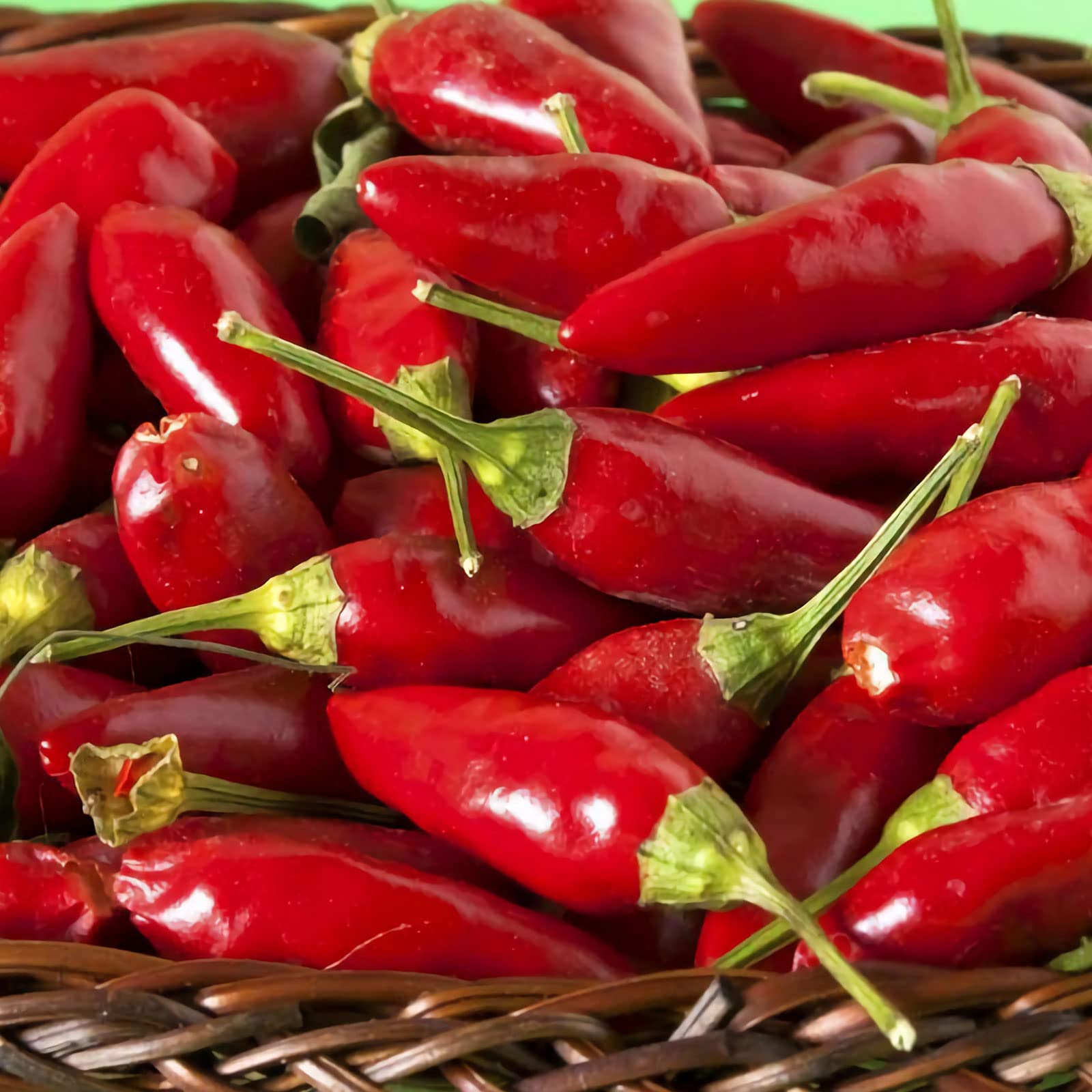 Thai Sun Hot Pepper Capsicum annuum Seeds