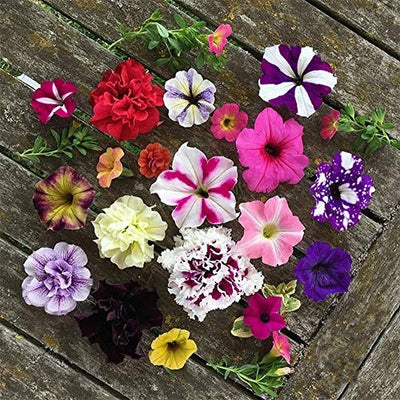 100 Pcs