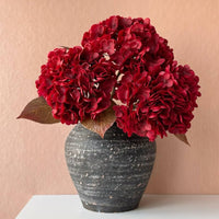 Burgundy Hydrangea Flower seeds for Planting Fragrant Blossoms Heirloom & GMO Free Seeds for Home Garden 
 
 Sale