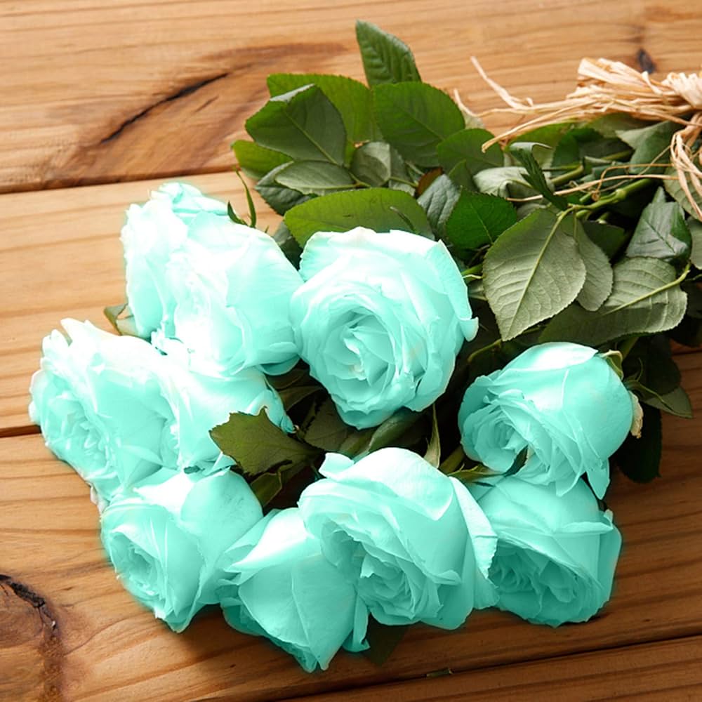 Sea Green Rose Flower seeds for Planting - Drought Tolerant, Heirloom & GMO Free Seeds for Home Garden