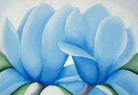 Sky Blue Cyclamen Flower seeds for Planting Easy to Grow Heirloom & GMO Free Seeds for Home Garden